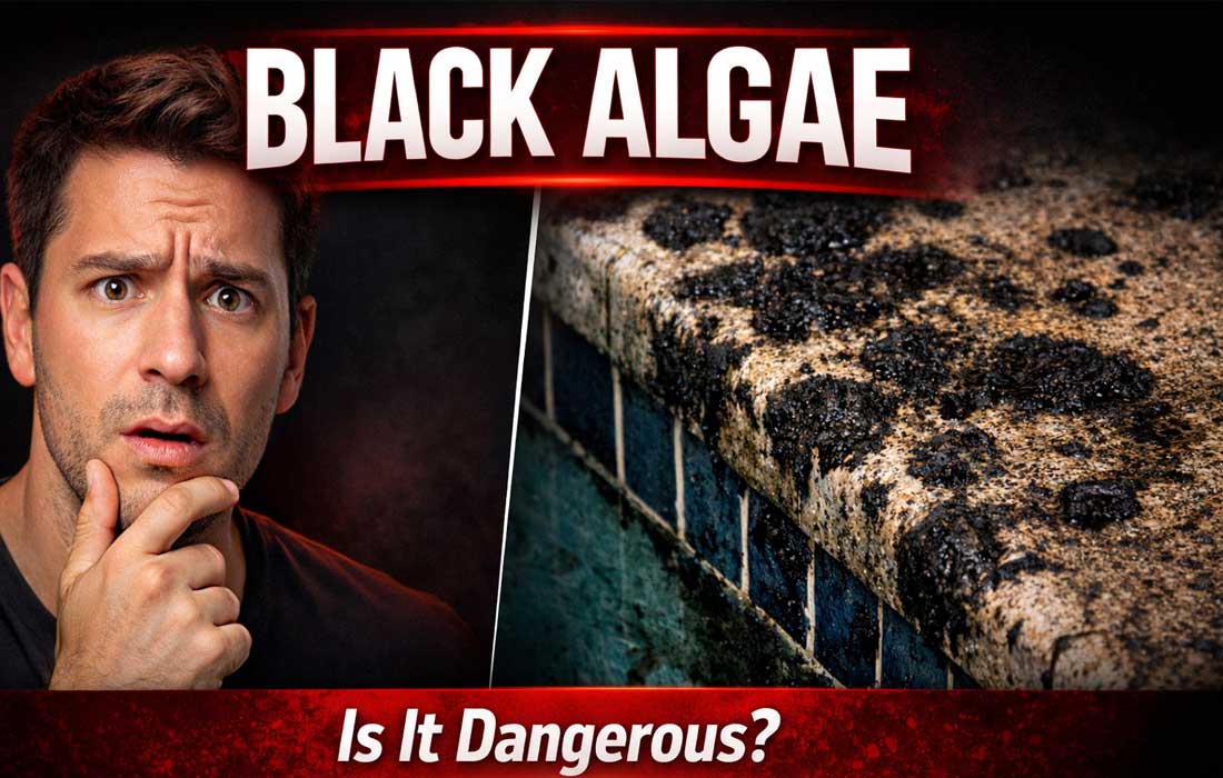 black algae